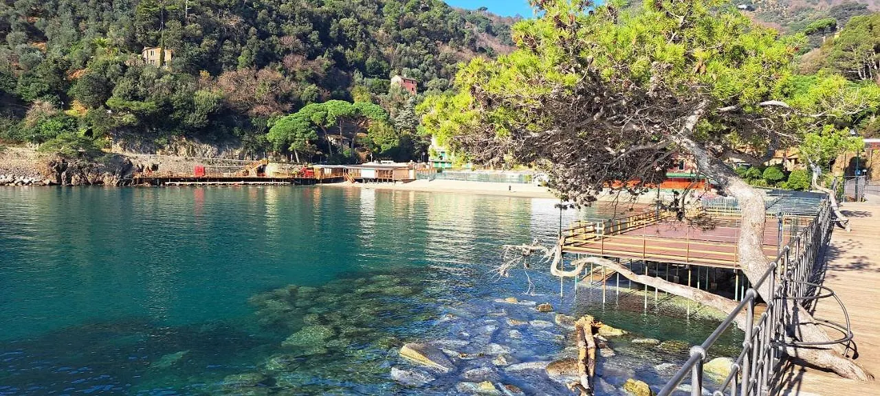 Sunny And Lovely Apartment - Free Wifi Rapallo Italy